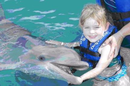 swimming with dolphins in Moscow