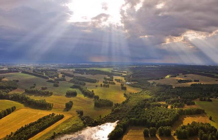 Corpurile de apă din regiunea Novosibirsk