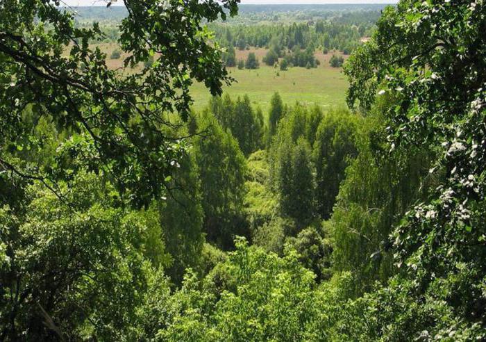 محمية بوليسكي للإشعاع البيئي