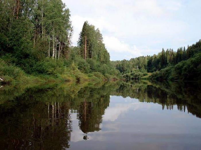  nordlige kamme Vologda-regionen