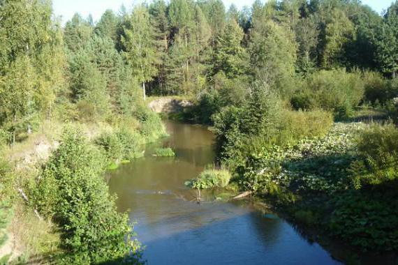 réserve naturelle prisursky chuvashia 