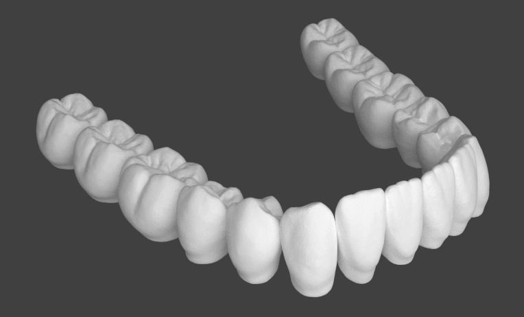 Struttura anatomica dei denti della mascella inferiore.