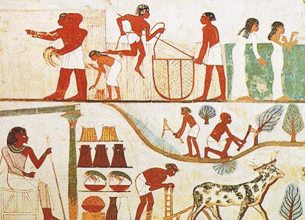 ősi egyiptomi gazdaság