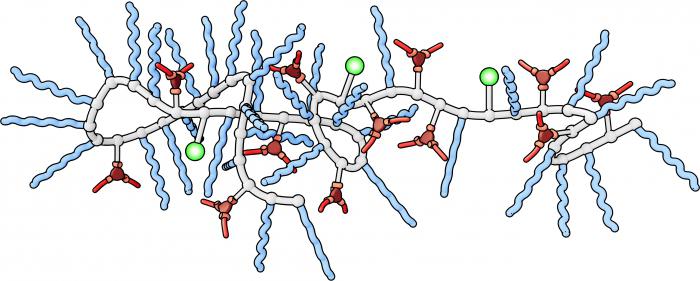 catalizzatori biologici