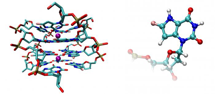 biologische Katalysatoren Klasse 9