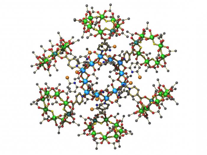 Enzyme als biologische Katalysatoren