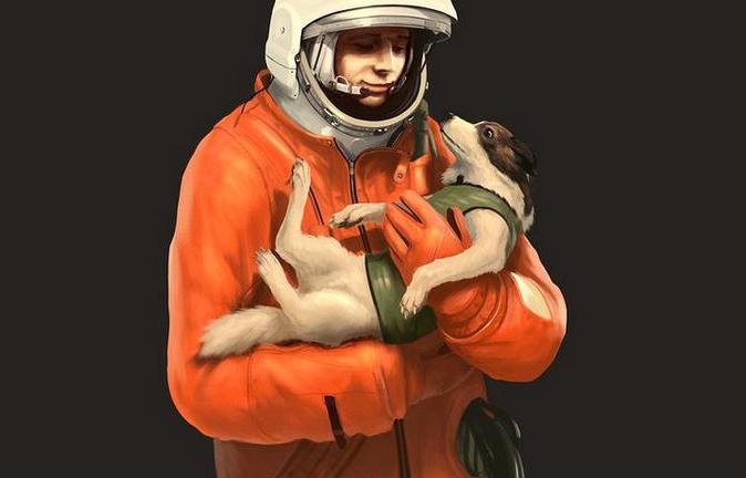 Husky astronot köpeği