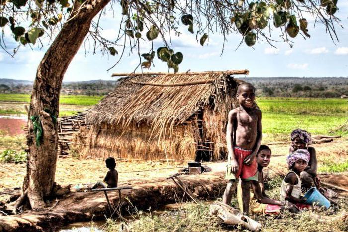 caractéristiques des espaces naturels d'Afrique