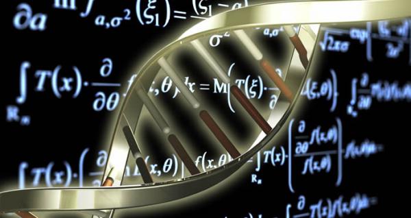 生物学の図を研究する方法