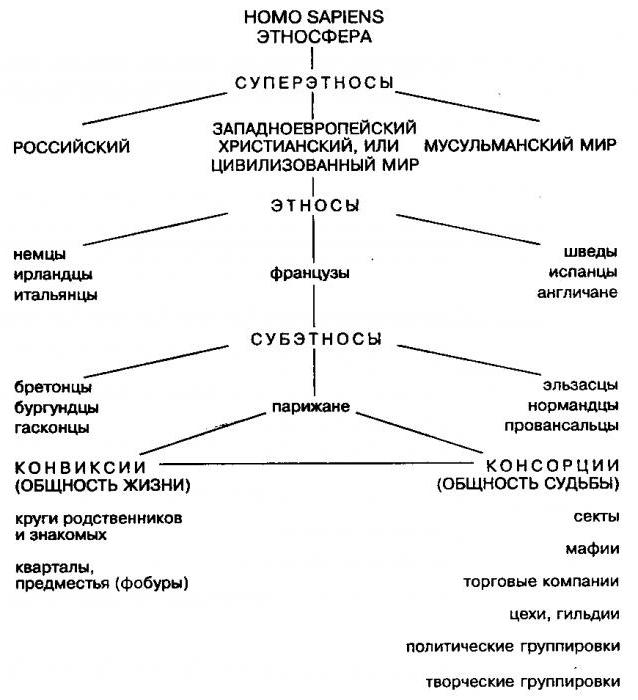 пасіонарність по гумілеву коротко