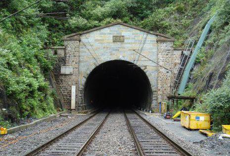 トンネルまたはスペルト小麦のトンネル