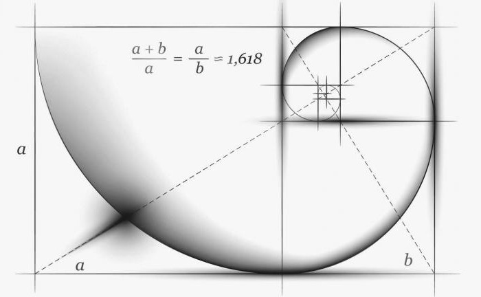 golden ratio examples