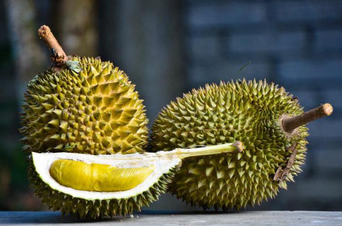 Γιατί δεν μπορείτε να πάρετε durian από την Ταϊλάνδη