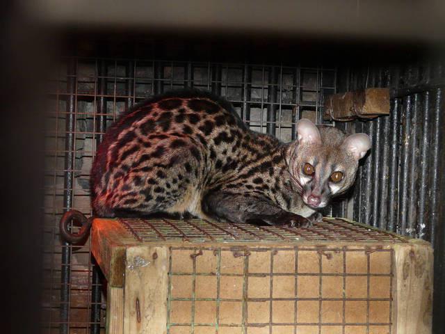 Horario de apertura del zoológico de Perm