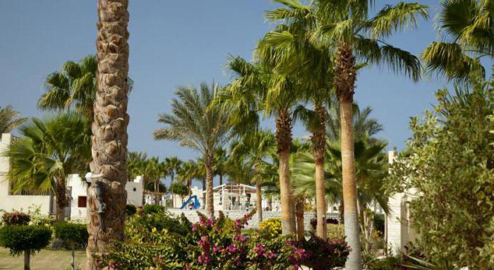 Coral Beach hurghada resort 