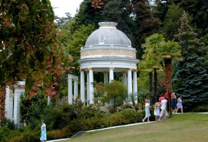  arboretum soči fotografije