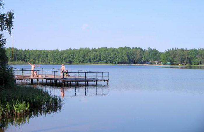 Bílé jezero Bělorusko fotografie