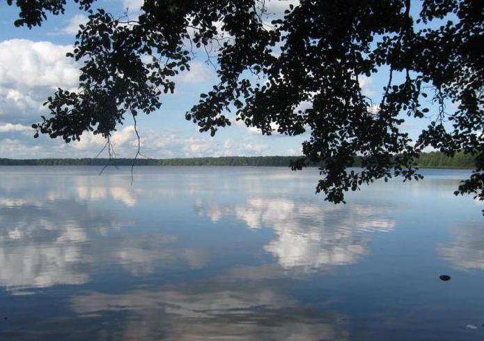Weißer See Weißrussland Mikaschewitschi