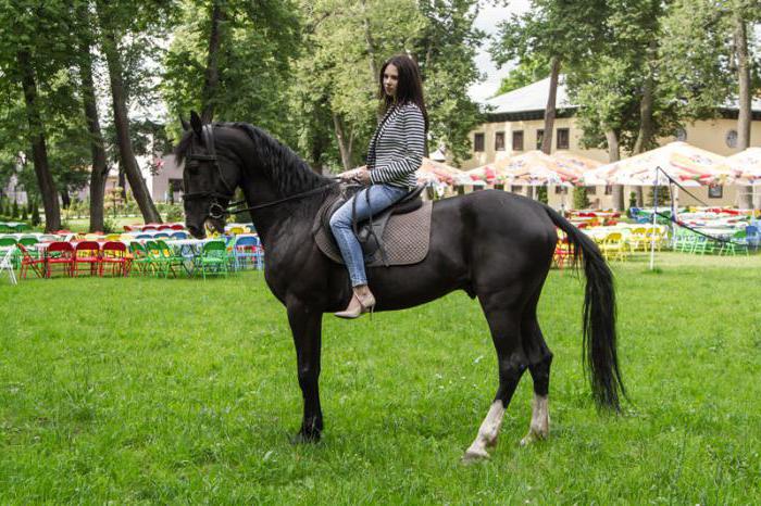 Aranyváros, Tula régió, cím