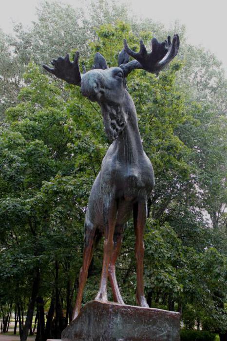 moose sochařství vyborg adresa