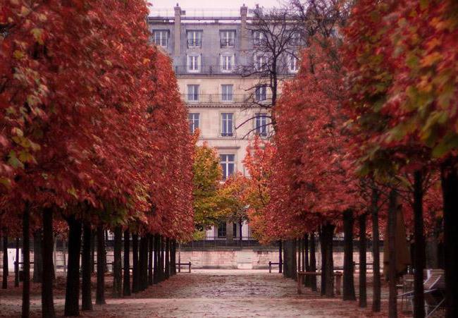Paris in late October