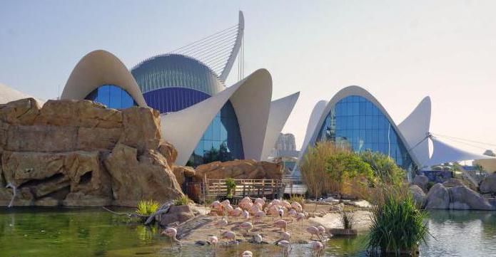 Aquarium in Valencia photo