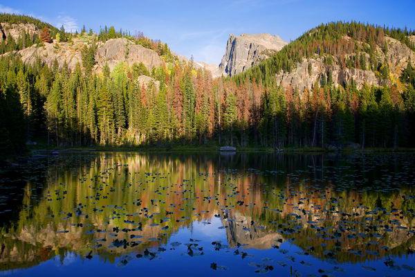 Lake Yastrebinoye Leningrad-regionen