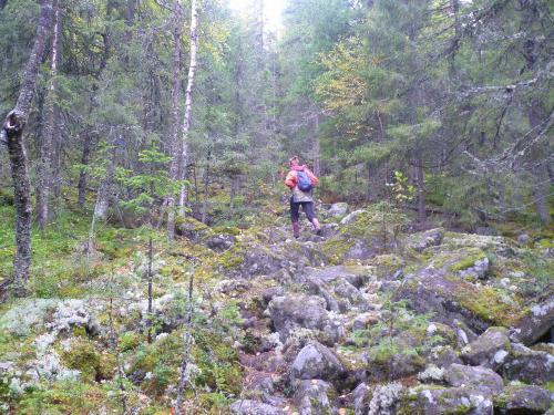 sjön yastrebinoye karelen