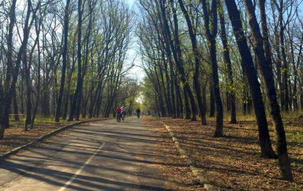 парк авіаторів ростові на дону прокат велосипедів 