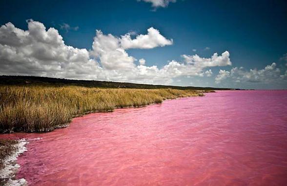 rosa sjö i Altai