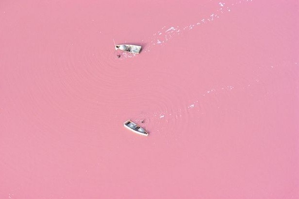 Pink jezero