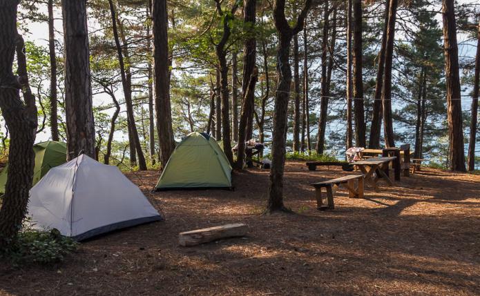 Avis sur le camping "Pine Paradise" 