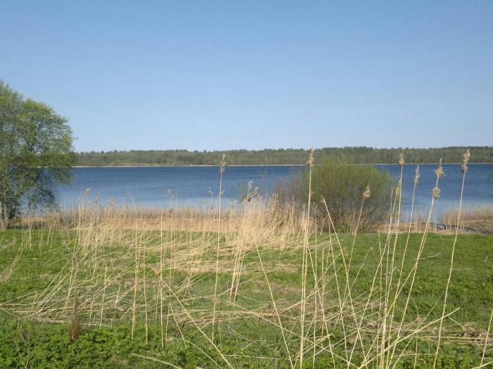 Sukhodolskoe gölü 