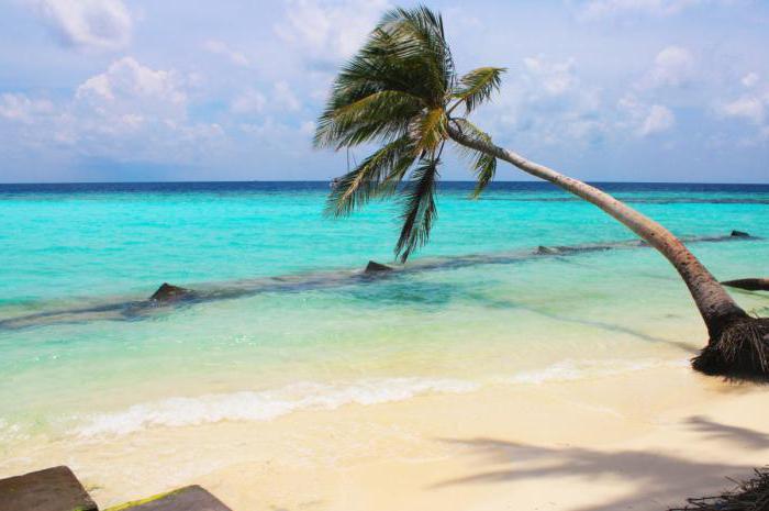velana beach maldives 4 atsauksmes 