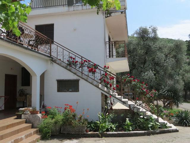 villa danica kedi c 