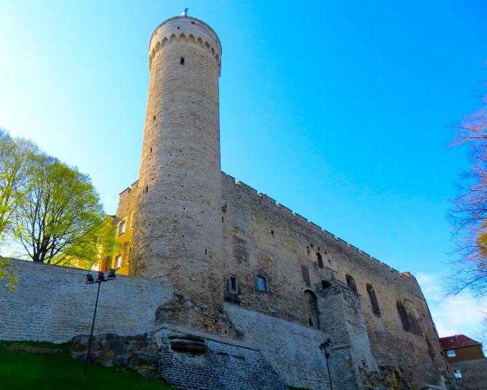 Il castello di Toompea tallinn 