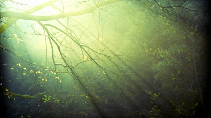 nature et monde intérieur de l'homme