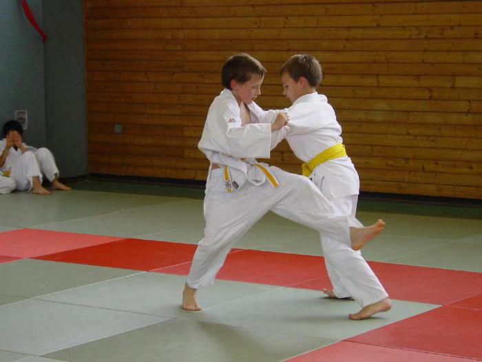 reglas de judo para niños