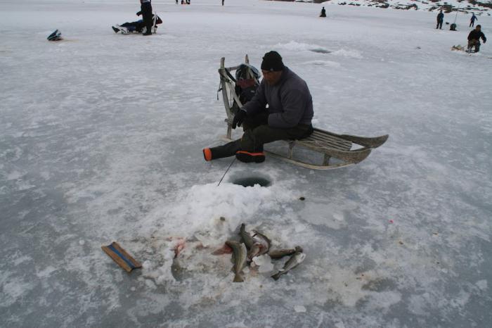 fiske i februar på Volga