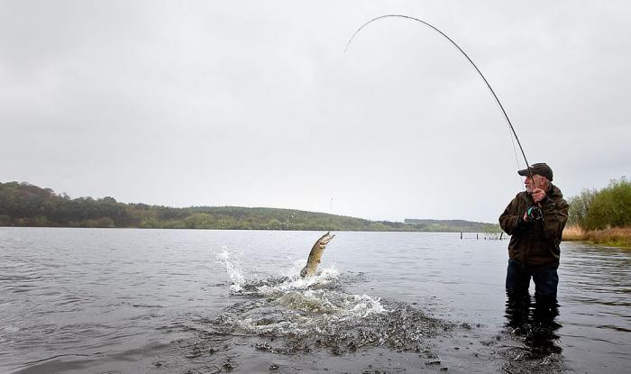 Pesca del lucio en septiembre