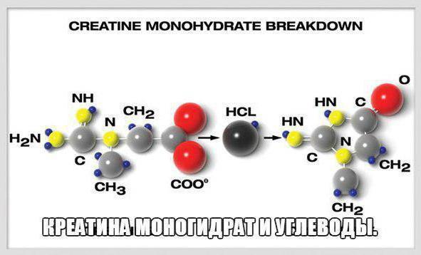 kreatinas, kas tai yra