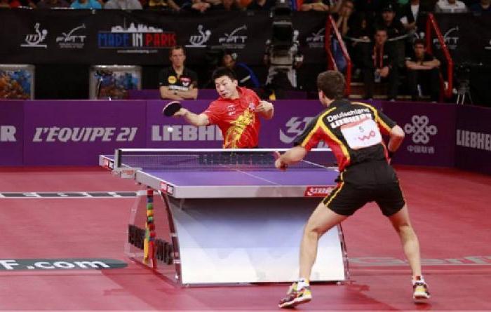 table tennis in spb for beginners