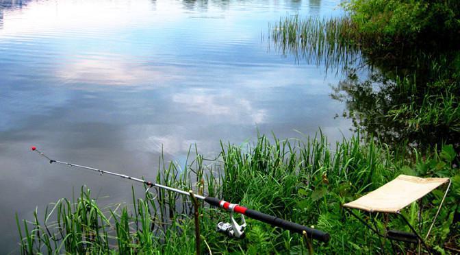 los últimos informes sobre pesca en los suburbios 