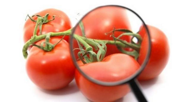 dieta del pomodoro per le revisioni di perdita di peso