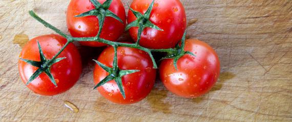 dieta a base di pomodoro per dimagrire deliziose opzioni dietetiche