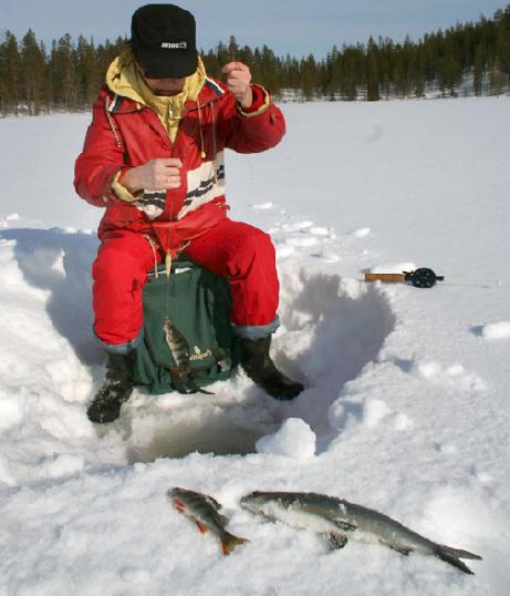 Zimný rybolov ostrieža na vyvažovačke