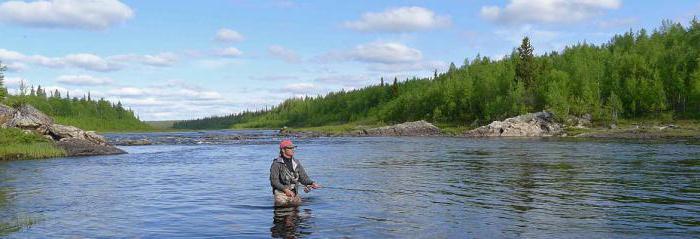 Murmansko regionas žvejoja upėse