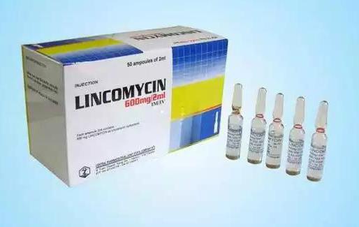 lincomycin ครีมรีวิว 