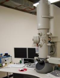 електронна мікроскопія