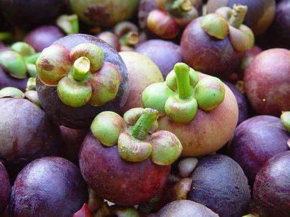 mangosteen hedelmien ravitsemukselliset edut kuva